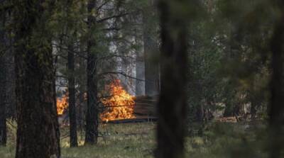 В Сибири не могут обуздать лесные пожары из-за нехватки военных, воюющих в Украине