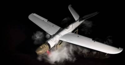 ВСУ убивают военных РФ польскими дронами-камикадзе Warmate, – СМИ (фото, видео)
