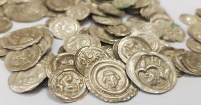 В Польше собака вырыла огромную коллекцию средневековых монет (фото)