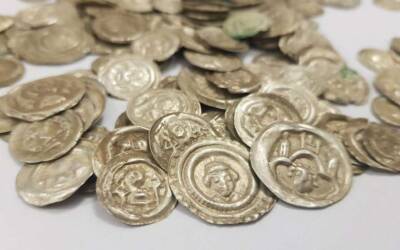 Пес на прогулке случайно откопал клад средневековых монет