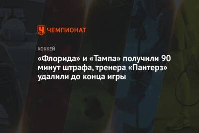 «Флорида» и «Тампа» получили 90 минут штрафа, тренера «Пантерз» удалили до конца игры