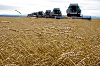 Банки выдали аграриям кредитов почти на 9 млрд грн