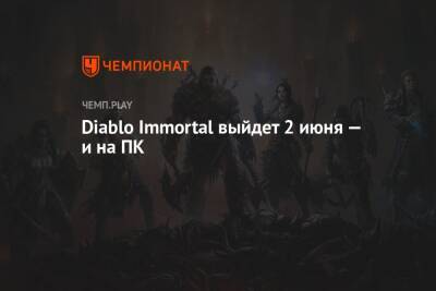 Diablo Immortal: дата выхода и релиз на ПК