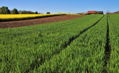 Домбровскис: Европа должна нарастить производство продовольствия и отказаться на время от биокомпонента