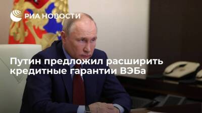 Путин предложил расширить кредитные гарантии ВЭБа на все производственные организации