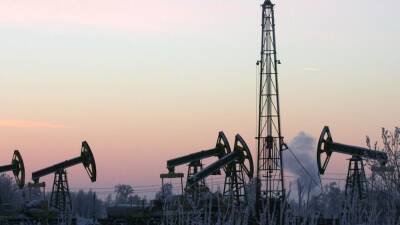 Эксперты: Литва не пострадала бы из-за эмбарго на нефть из России - ТЕМА BNS