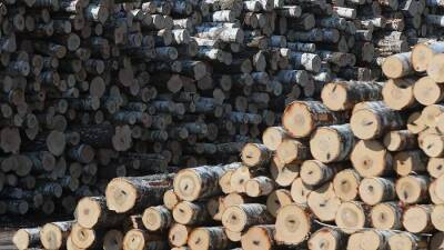 Финская Stora Enso заявила о планах продать лесопильные заводы в России