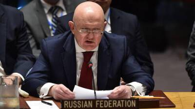 В разгар войны с Украиной: Россия отчитывает Израиль в ООН за палестинцев
