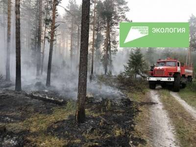 В 2022 году на противопожарную деятельность в Прикамье направят почти в три раза больше средств, чем в прошлом