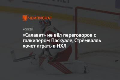 «Салават» не вёл переговоров с голкипером Паскуале, Стрёмвалль хочет играть в НХЛ