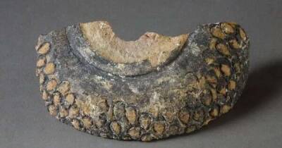 Использовали в крестовых походах. В Иерусалиме нашли средневековые ручные гранаты (фото)