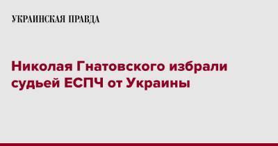 Николая Гнатовского избрали судьей ЕСПЧ от Украины