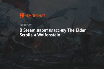 Бесплатно: TES: Arena, TES: Daggerfall и Wolfenstein: Enemy Territory раздают в Steam