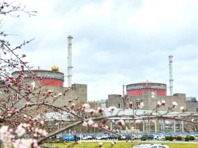 Зеленский ожидает возвращения контроля Украины над Запорожской АЭС