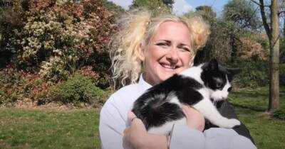 В Великобритании мать-одиночка женилась на кошке (фото, видео)