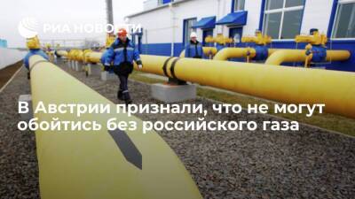 Глава Минэнерго Гевесслер: Австрия не сможет заполнить хранилища без российского газа