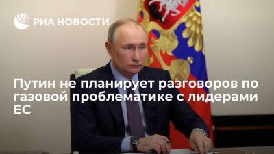 Песков: Путин не планирует телефонных разговоров по газовой проблематике с лидерами ЕС
