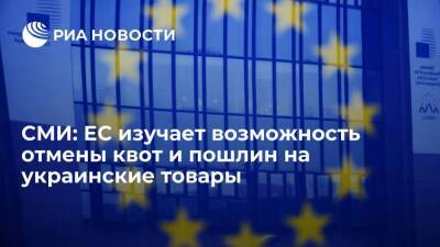 Bloomberg: ЕС изучает возможность отмены квот и пошлин на товары с Украины