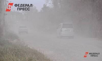 Депутат рассказал, что спасет Новосибирск от пыли и снега