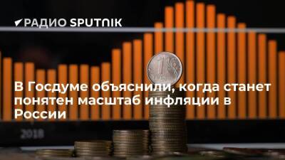 В Госдуме объяснили, когда станет понятен масштаб инфляции в России