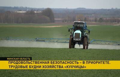 Что белорусские аграрии делают для продовольственной безопасности страны