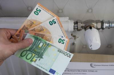 Правительство Литвы одобрило порядок компенсации за электроэнергию и газ