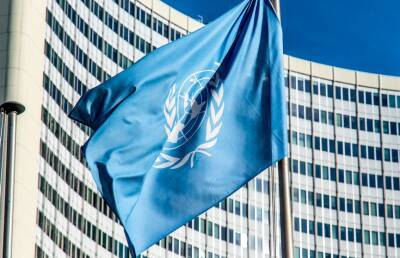 Комиссия ООН начинает расследование событий на Украине