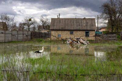 The New York Times показала кадры из затопленного села Демидов на Киевщине