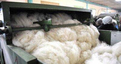 В рошткалинском селе Занудж скоро откроется новый цех по переработке овечьей шерсти