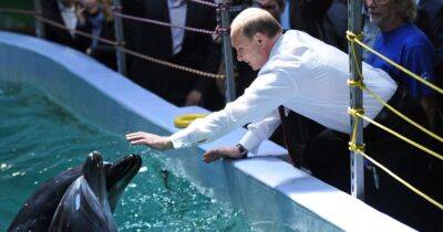 Кремль использует в войне с Украиной "боевых дельфинов", — СМИ