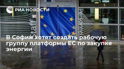 ЕК и Болгария договорились создать в Софии рабочую группу платформы ЕС по закупке энергии
