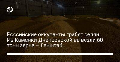 Российские оккупанты грабят селян. Из Каменки-Днепровской вывезли 60 тонн зерна – Генштаб