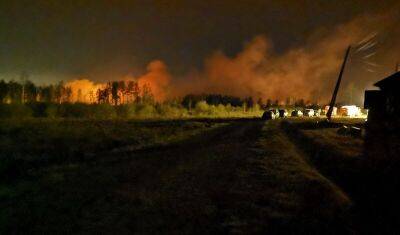 В Абатском районе произошел пожар в двух деревнях. Погиб человек
