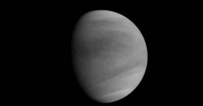 Ученые выяснили, почему на Венере сутки длиннее года