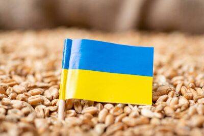 Россия вывозит из Украины запасы зерна