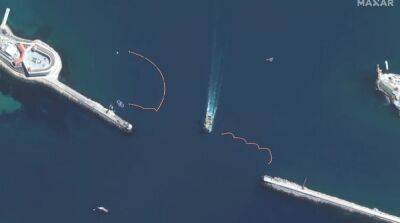 Россия разместила боевых дельфинов для защиты военно-морской базы в Черном море – СМИ