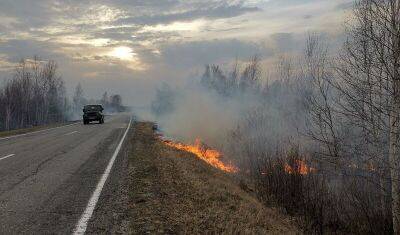 В Абатском районе Тюменской области введен режим ЧС из-за природных пожаров
