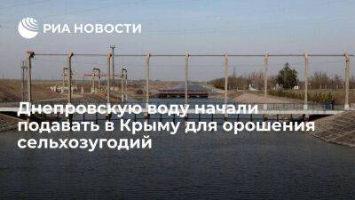 Воду из Северо-Крымского канала начали подавать в Крыму для орошения сельхозугодий