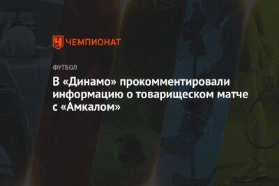 В «Динамо» прокомментировали информацию о товарищеском матче с «Амкалом»