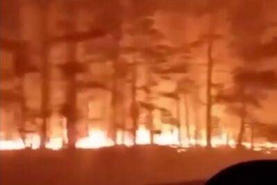 россия в огне: в Сибири новый огромный пожар подбирается к опасной базе хранения и утилизации