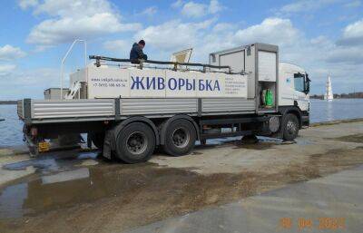 В Угличское водохранилище в Тверской области выпустили 405 тысяч мальков стерляди