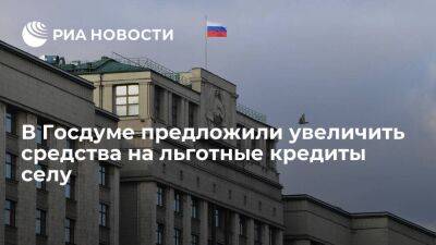 Депутат Госдумы Школкина предложила увеличить средства на льготные кредиты селу