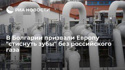 Болгарский эксперт Начев призвал Европу "стиснуть зубы" без российского газа
