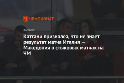 Каттани признался, что не знает результат матча Италия — Македония в стыковых матчах на ЧМ