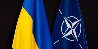 Если на референдуме украинцы поддержат движение в НАТО, будут новые переговоры с Россией — Арахамия