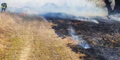 Возле ЧАЭС ликвидировали пожары на площади более 10 тысяч гектаров