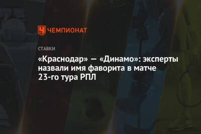 «Краснодар» — «Динамо»: эксперты назвали имя фаворита в матче 23-го тура РПЛ