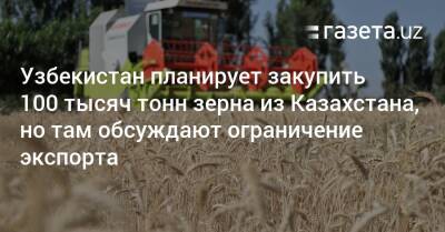 Узбекистан планирует закупить 100 тысяч тонн зерна из Казахстана, но там обсуждают ограничение экспорта