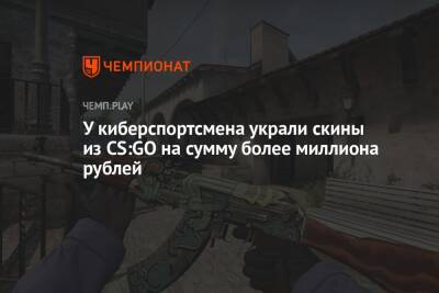 У киберспортсмена украли скины из CS:GO на сумму более миллиона рублей