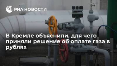 Песков: решение об оплате газа в рублях принял не для того, чтобы кого-то щелкнуть по носу